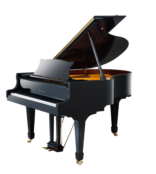 schumer wilh.steinberg vrijstaand piano